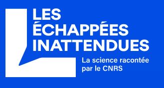 L’hydrogène, le couteau suisse de l’énergie ?